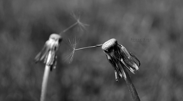 czarne chmury