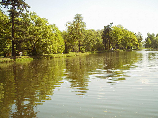 swierklaniec