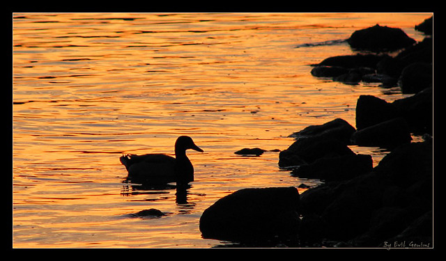 Before the sunset