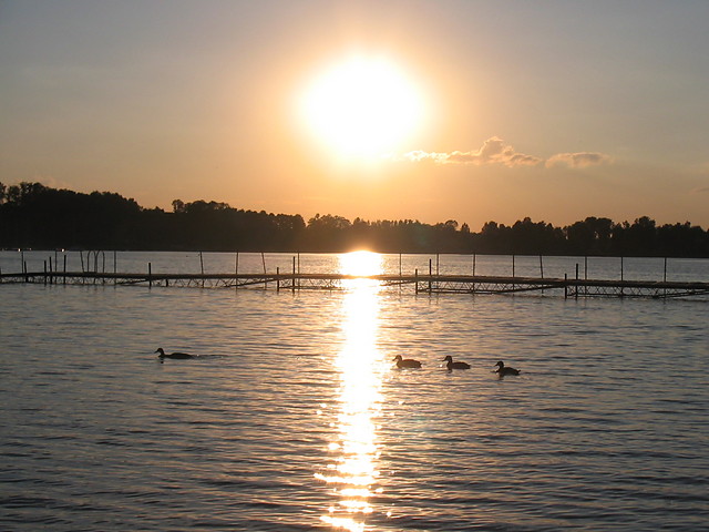 Wakacje 2008
