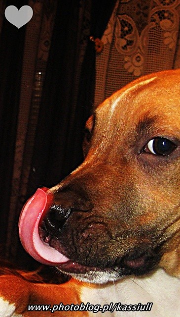 Maxx.