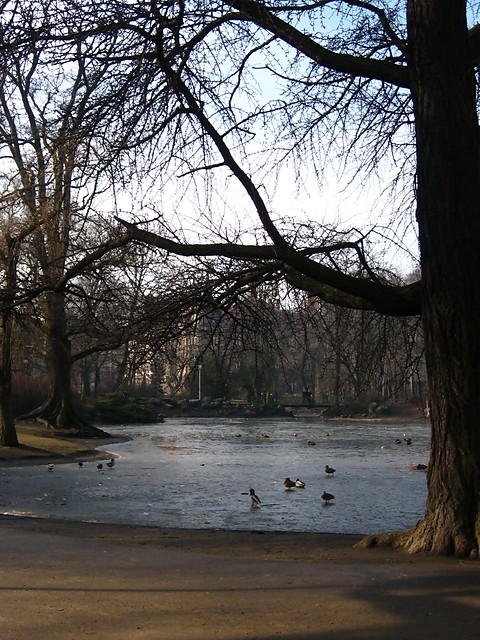 park