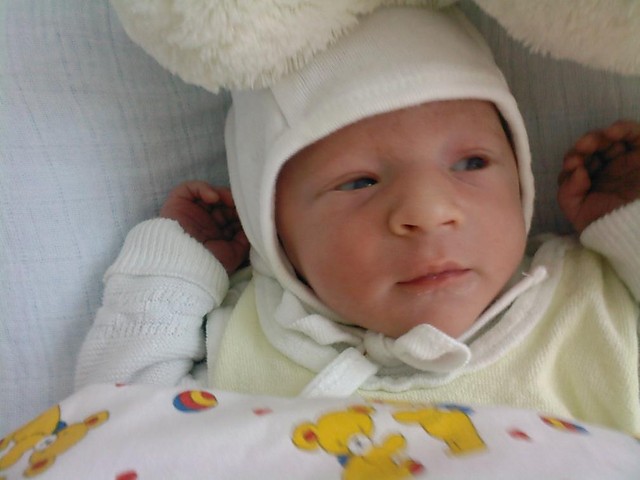Maximilian. 