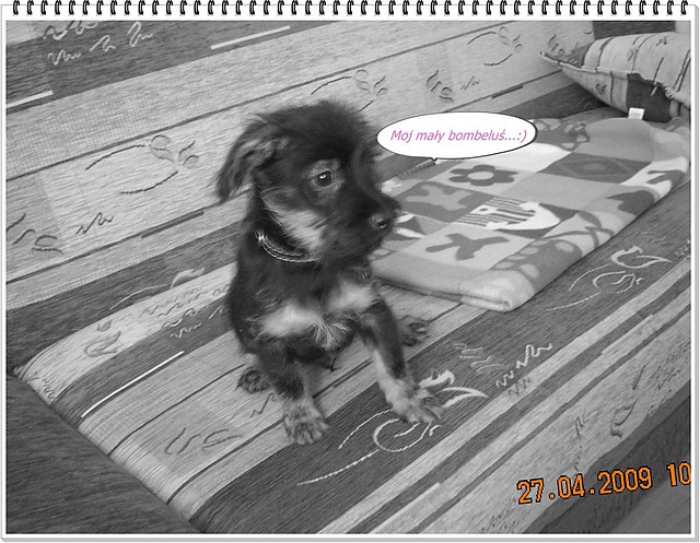 Maxik niedobrak ... :)
