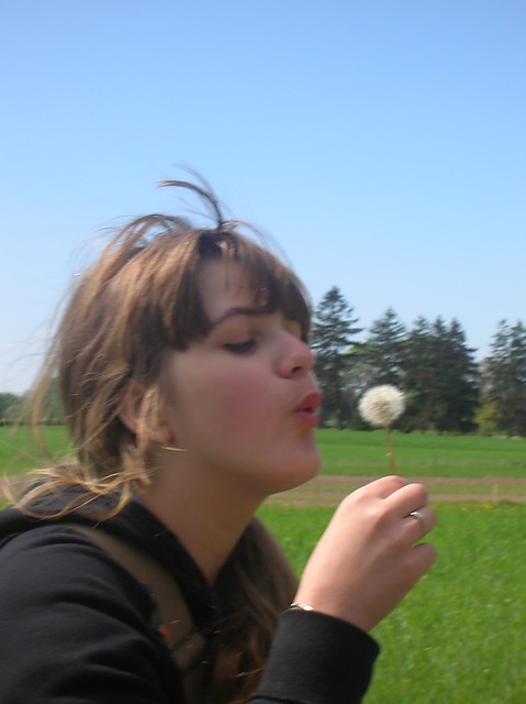 Dmuchawce..:)