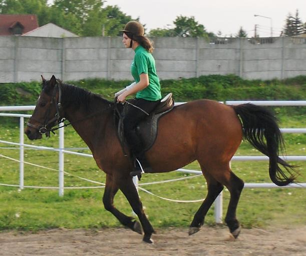 galop