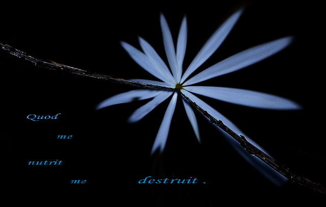 x|