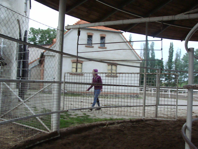 karuzela.