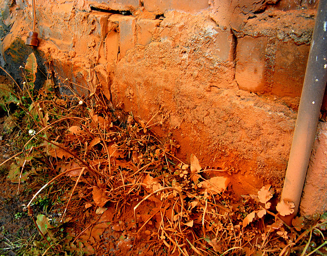 Living on Mars