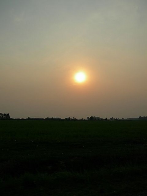 melancholia