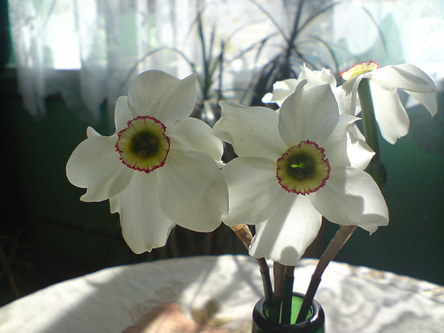 i znw cwietoki:)