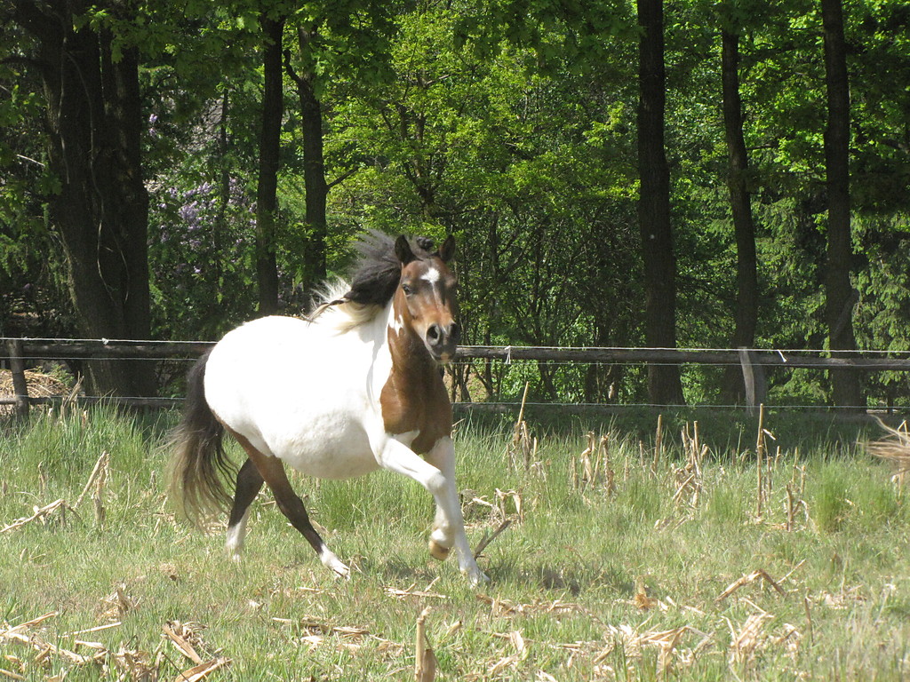Mizia ;) ^^ =*