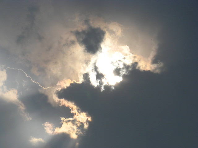 Dreaming?