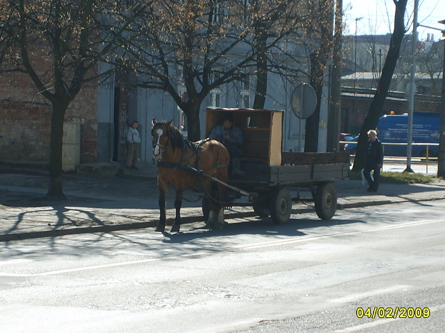 Konik ;)