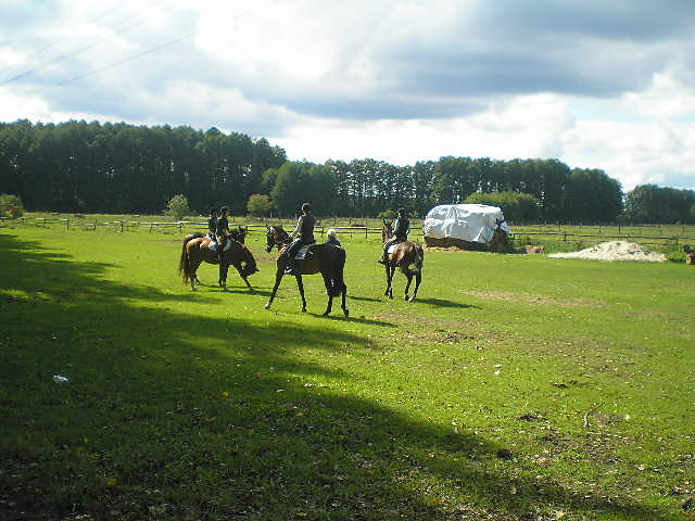 Teren