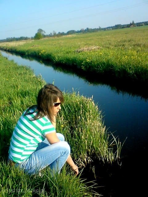 Sysia 