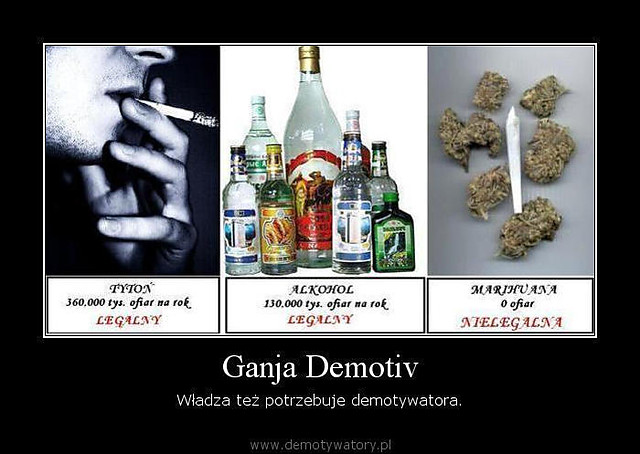 No ciekawe