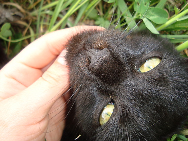 Popatrz mi w oczy...
