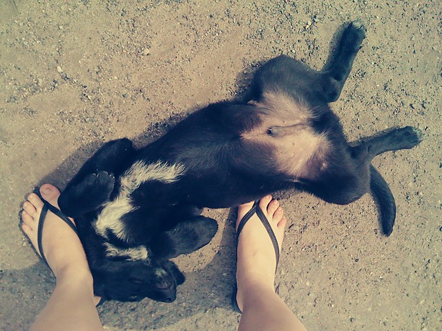 adne oczy masz..