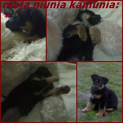 kama:*