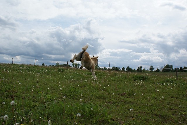 Boni:)