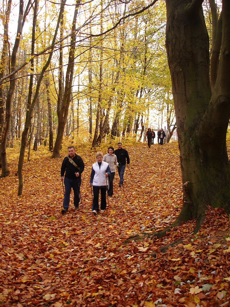 nordic walking