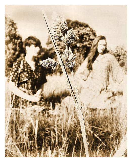 Piknikowe.