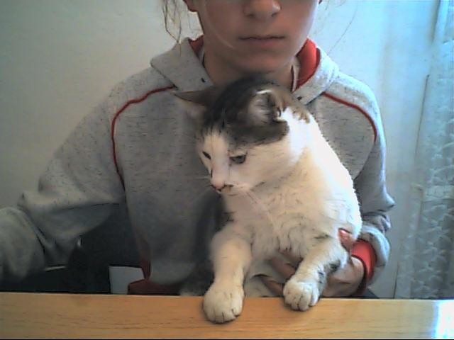 kicia to ja