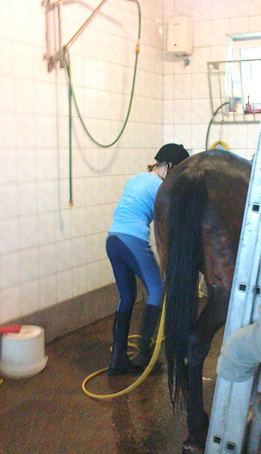 Myju, myju :***