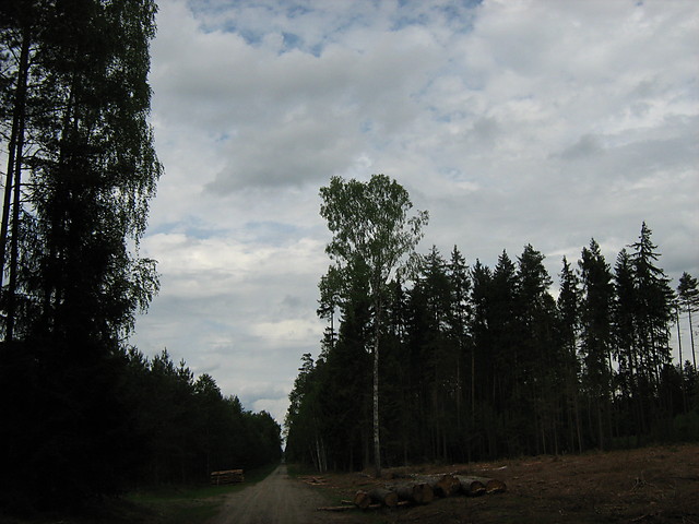 nastaa ciemno