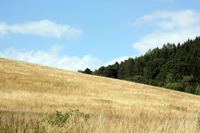 Yellow, Green, Blue
