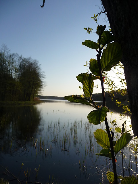 28 maja 2009