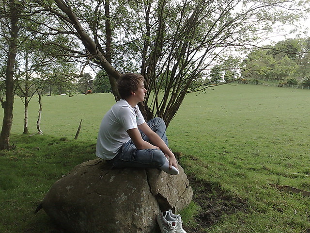 W Shire