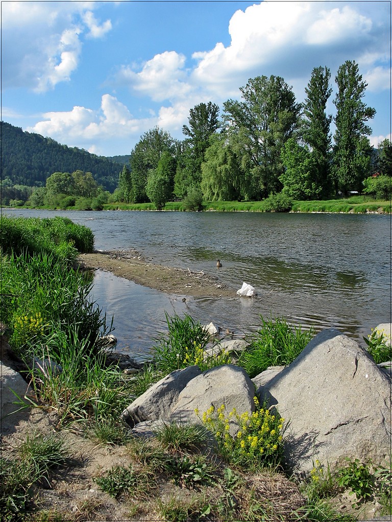 wycieczkowo 1.