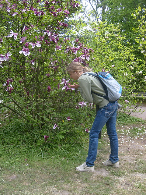 Rododendrony