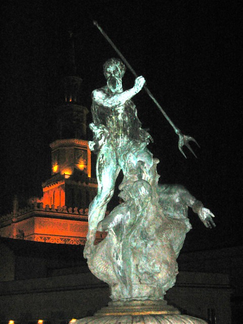 pozna