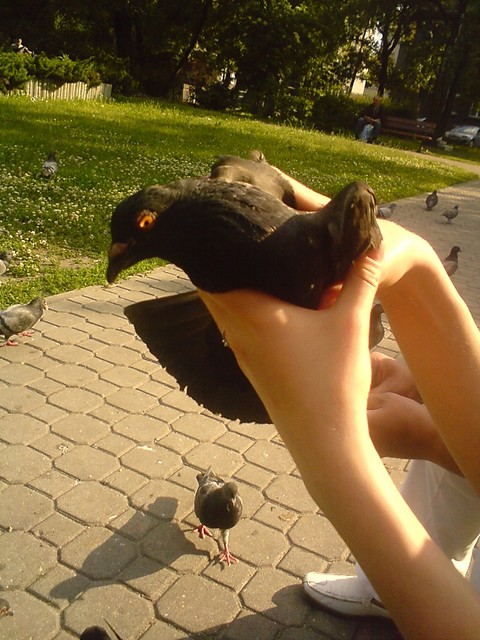 fruuu
