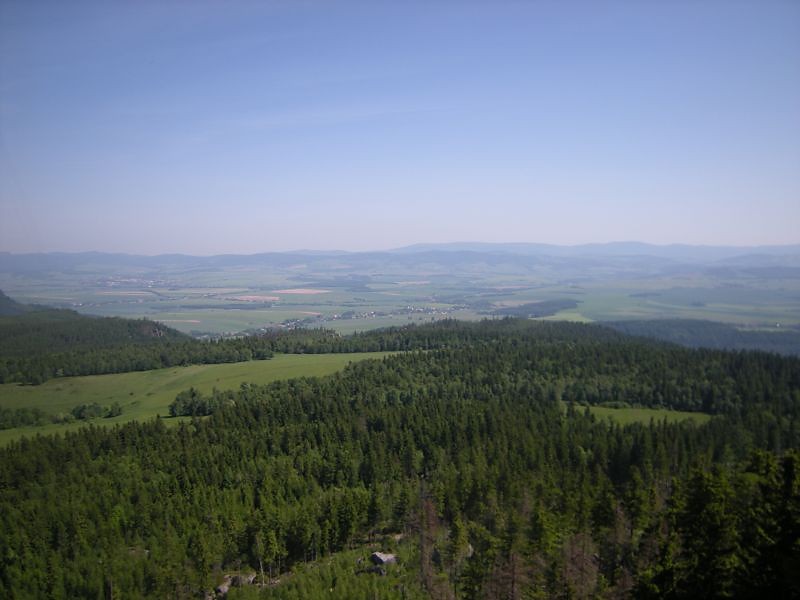 widoczek.