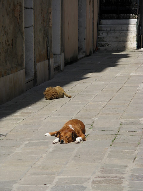 sleep all day.