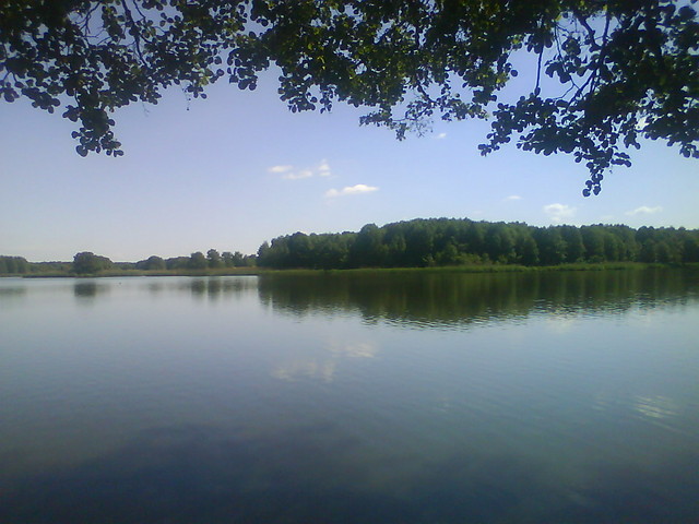 pisze