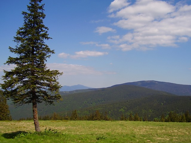 zapomnienie