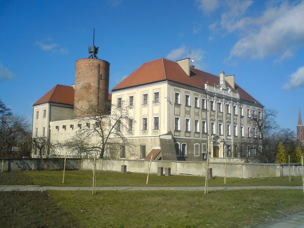 Zamek gogowski