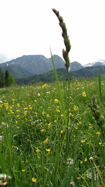 widok na Giewont