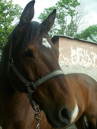 Bercik :)) :*