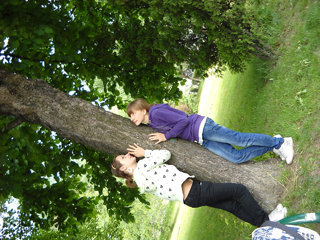 drzewkoo^^ :*