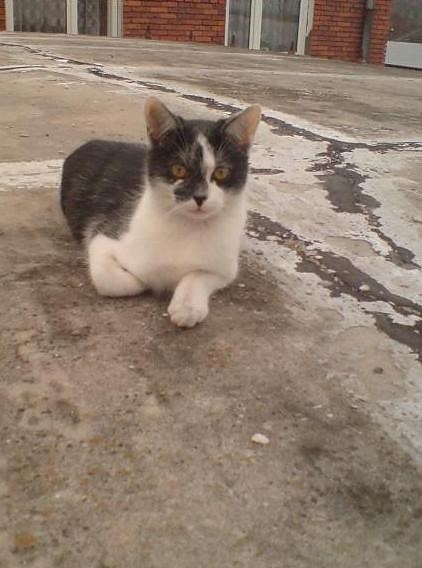 Trampu < mj
