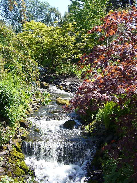 Royal Botanic Garden