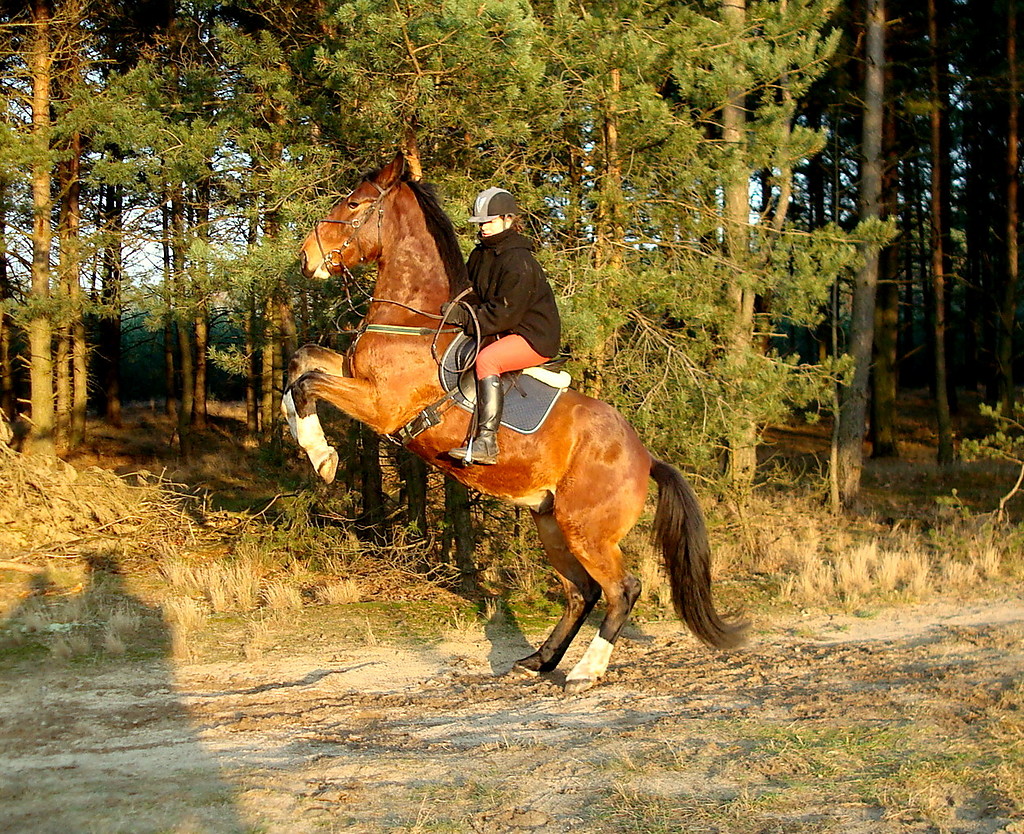 zorro :P