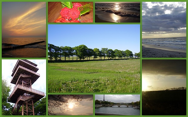 It's my paradise...