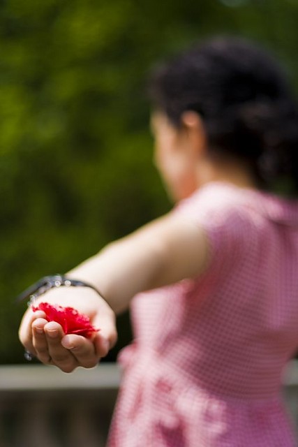 the art of blurring an image